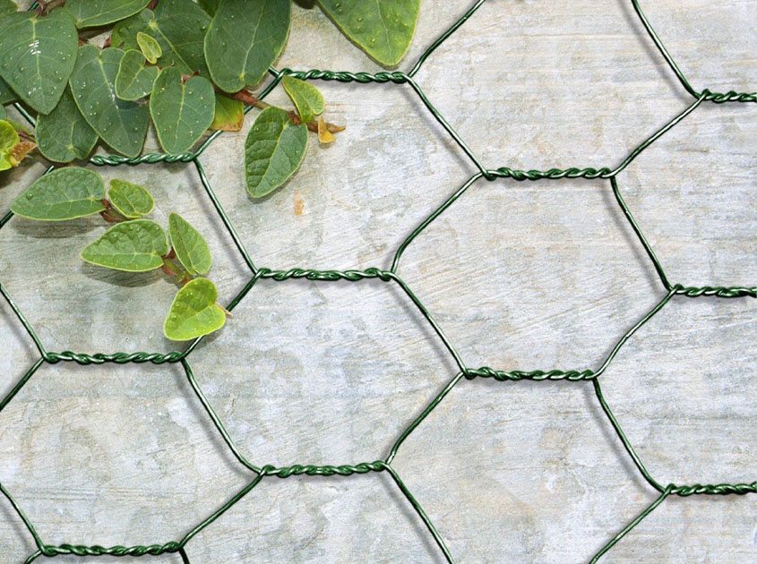 Chicken Wire Mesh