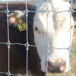 Farm Fence . Field Fence