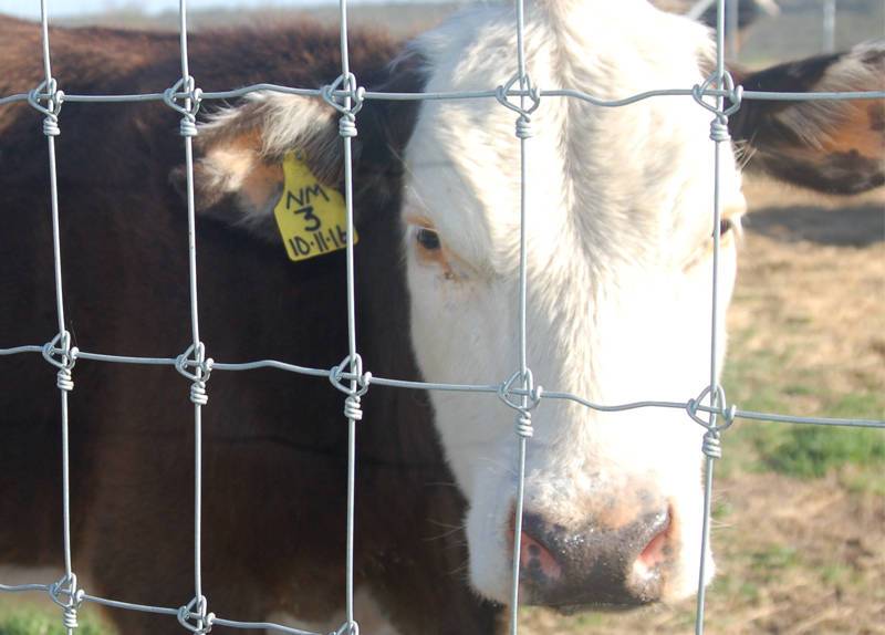 Farm Fence . Field Fence