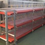 Broiler Cages