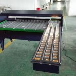 Egg Grading machine