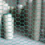 Chicken Wire Mesh